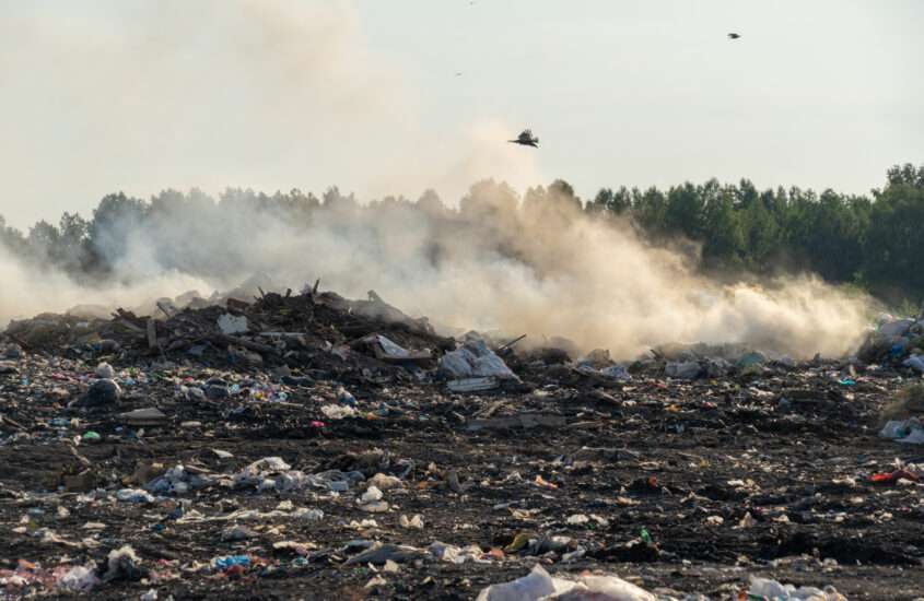 Ue: bene stretta del Pe su reati ambientali, centrodestra in frantumi