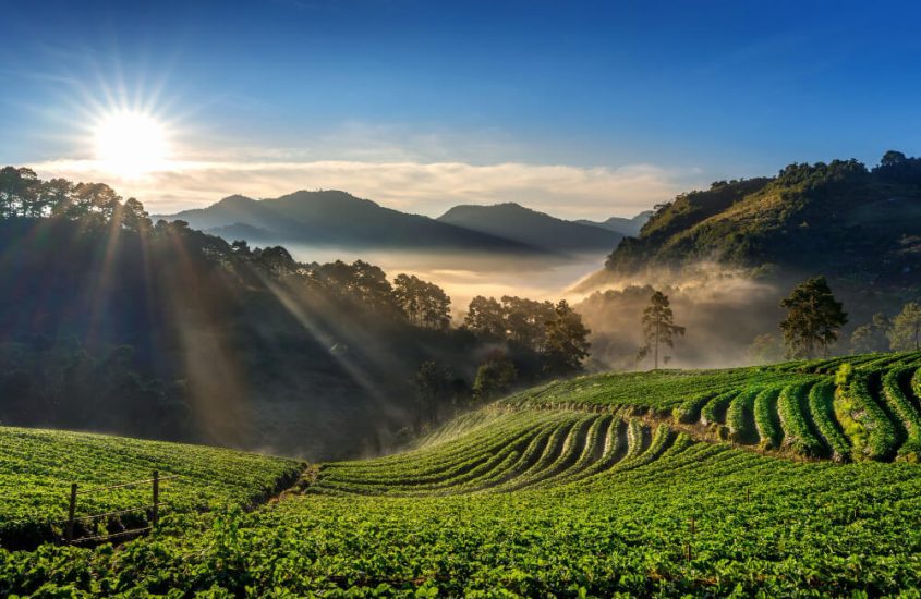 Agricoltura biologica, una risorsa per le zone montane